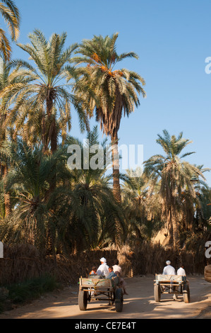 Route de village poussiéreux dans l'oasis de Siwa, Egypte Banque D'Images