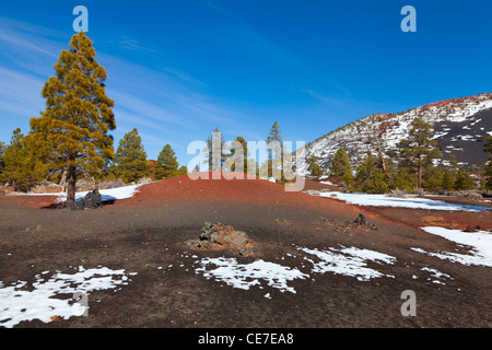 Champ de lave du volcan cratère au coucher du soleil à Arizona Banque D'Images