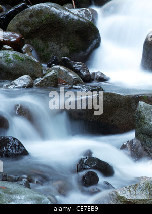 Les cascades s'écoulent sur les rochers de la rivière, l'eau douce du ruisseau de la montagne en cas d'exposition prolongée donne une sensation douce et méditative Banque D'Images