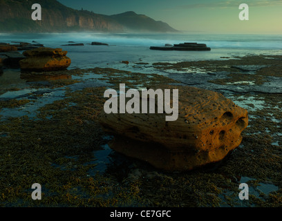 Des rochers et de collier, Neptunes Coalcliff, NSW Australie Banque D'Images