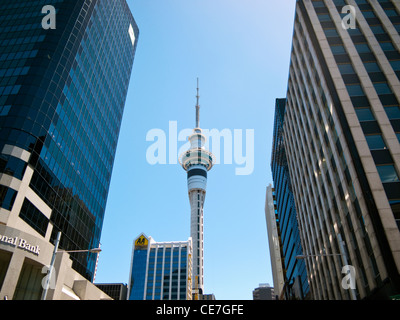 Afficher par ville tours à la Sky Tower. Auckland, île du Nord, Nouvelle-Zélande Banque D'Images