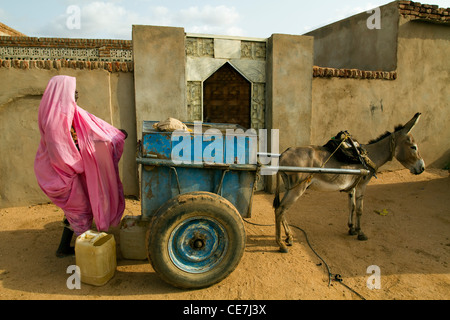 Femme loading transport de l'eau pour la maison avec dankey panier Khartoum Soudan Banque D'Images