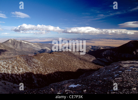Au nord-ouest du sommet du Mt. Washington, le Parc National du Grand Bassin, Nevada, USA. Forêt nationale de Humboldt Banque D'Images