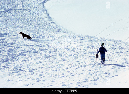 Le patrouilleur de ski professionnels et formés search and rescue dog commencer la recherche d'un skieur enseveli dans une avalanche Banque D'Images