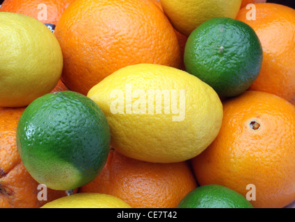 Agrumes : Citron, citron vert et orange Banque D'Images