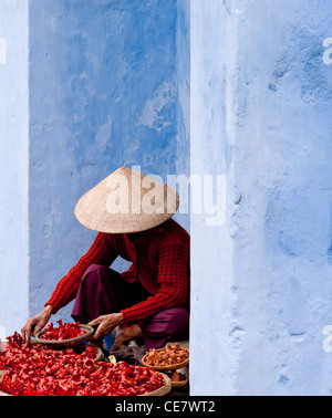 Hawker femelle dans Nguyen Thai Hoc St, Hoi An, Viet Nam Banque D'Images