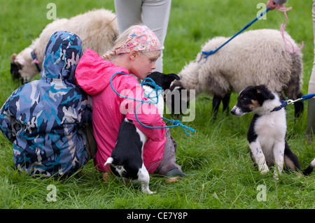 Agriculturial montrent Fort William Banque D'Images