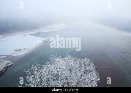 Le givre Le givre blanc sur les arbres et une fine couche de glace sur la rivière Tanaro à jour brumeux en Piémont, Italie du Nord. Banque D'Images