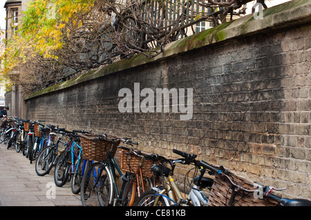 Une ligne de bicyclettes garées devant un Sussex College de Sydney. Cambridge. L'Angleterre. Banque D'Images