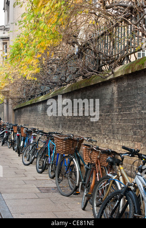 Une ligne de bicyclettes garées devant un Sussex College de Sydney. Cambridge. L'Angleterre. Banque D'Images