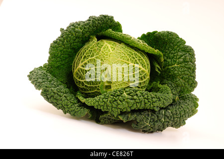 La Chou de .les légumes. Banque D'Images