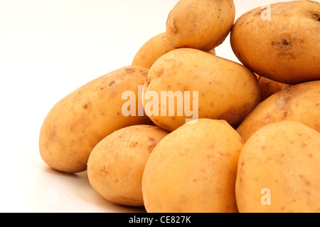 La Maris Piper Les pommes de terre. Banque D'Images