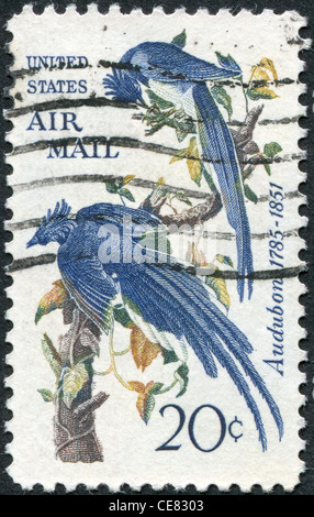 USA - circa 1963 : timbre imprimé aux États-Unis, présente une image de la Columbian 'Jay' de John James Audubon, vers 1963 Banque D'Images