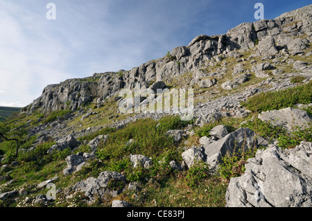 Falaises de calcaire de Mullaghmore, le Parc National de Burren, comté de Clare, Irlande Banque D'Images
