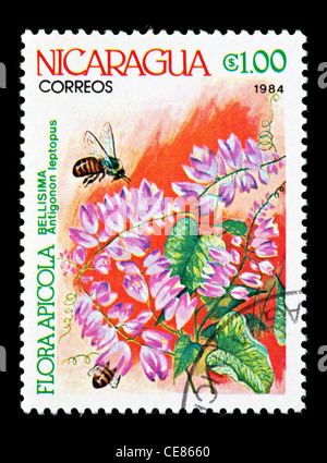 Timbre-poste représentant du Nicaragua les abeilles pollinisent coral vine (Antigonon leptopus) Banque D'Images