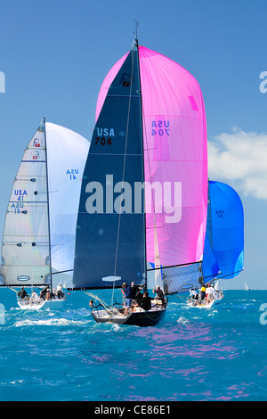 Quantum Key West Race Week 2012 Régate de voile voilier voilier racing yachts yachting Banque D'Images