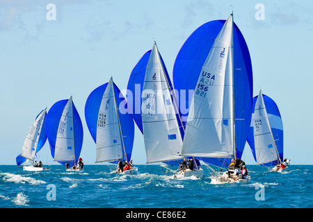 Quantum Key West Race Week 2012 Régate de voile voilier voilier racing yachts yachting Banque D'Images