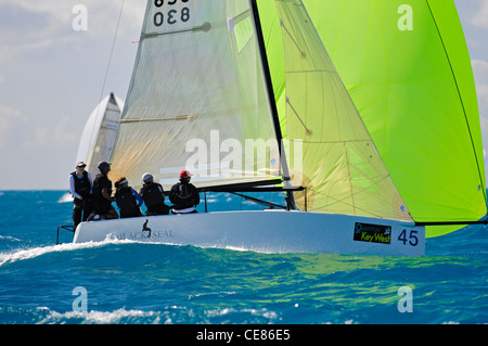 Quantum Key West Race Week 2012 Régate de voile voilier voilier racing yachts yachting Banque D'Images
