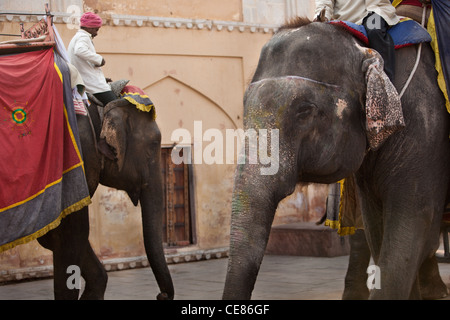 Les éléphants les touristes ferry la colline raide à Fort Amber, à l'extérieur de Jaipur, au Rajasthan, Inde Banque D'Images