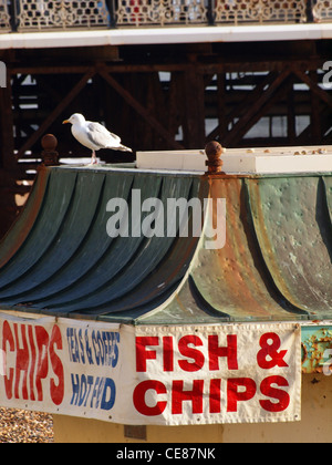 Un seagulll est perché au sommet d'une plage kiosque Fish & Chips à Brighton. Banque D'Images