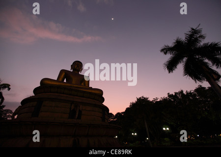 Sri Lanka, Colombo, Viharamahadevi Park, statue de Bouddha dans la soirée Banque D'Images