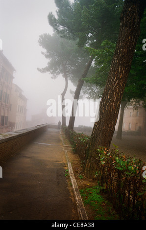 Arbres dans le brouillard à Sienne, Italie avec man walking along path Banque D'Images