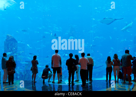 Dubaï, l'Aquarium dans l'Atlantis The Palm Resort à Dubaï Banque D'Images