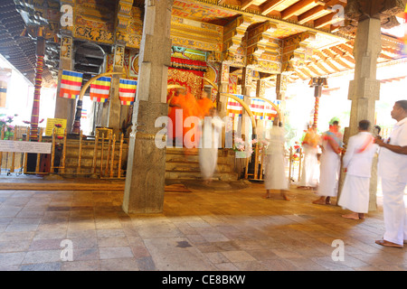 Sri Lanka, Province, Kandy, Temple de la dent, temple, dent, l'intérieur, priant de culte Banque D'Images