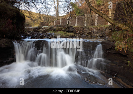 Cascade sur Middlehope Bouseteems brûler avec la fente de bois fendu derrière Mines Weardale Westgate dans le comté de Durham UK Banque D'Images