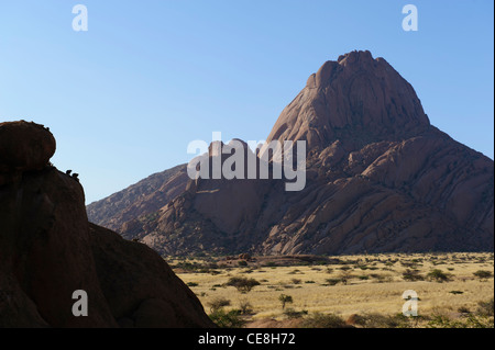 Les pics de Spitzkoppe. Trois hyraxes, (Procavia capensis) sur la gauche rock , donnent sur la plaine le Damaraland, Namibie. Banque D'Images