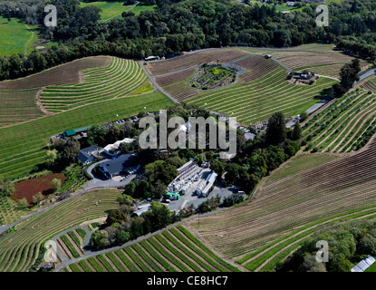 Photographie aérienne vignes Benziger Sonoma Mountain winery dans le Comté de Sonoma, en Californie Banque D'Images