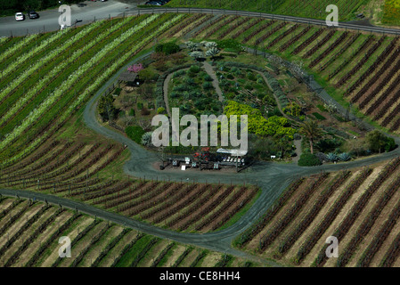 Photographie aérienne vignes Benziger Sonoma Mountain winery dans le Comté de Sonoma, en Californie Banque D'Images