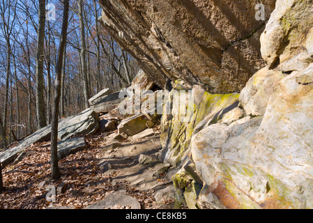 Sentier de randonnée près du haut de la montagne, Maison Corryton, New York Banque D'Images