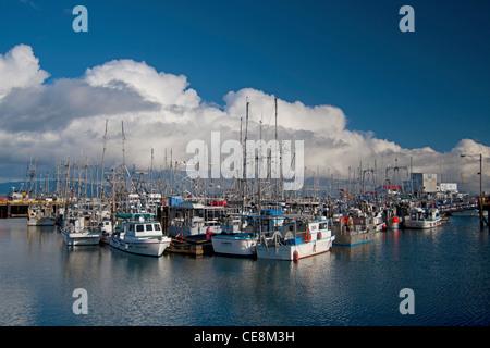 Le petit port de pêche de French Creek, sur l'île de Vancouver, Colombie-Britannique. Le Canada. 7897 SCO Banque D'Images