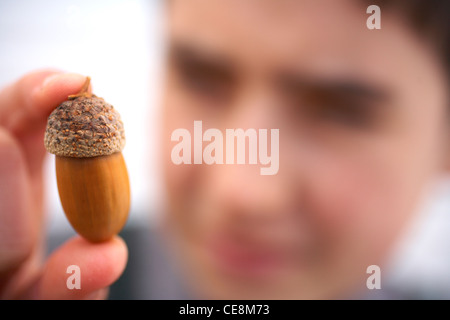 Boy looking at acorn Banque D'Images