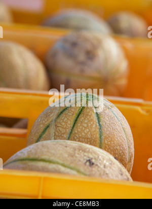 Marché de producteurs à melon rock Banque D'Images