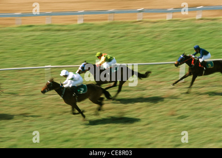 Smr 80445 : les courses de chevaux Mahalaxmi race course Bombay Mumbai maharashtra Inde Banque D'Images