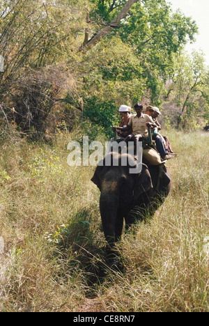 Les touristes en safari éléphant joy ride , bandhavgarh national park , Madhya Pradesh, Inde - raa 80794 Banque D'Images