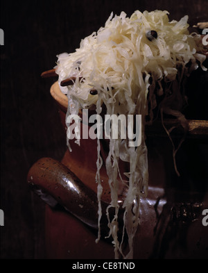 Fourchette en bois sur la choucroute encore Banque D'Images