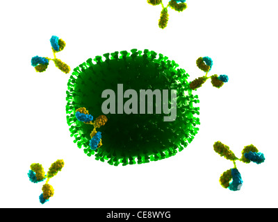 L'attaque des anticorps du virus de l'influenza, particules d'art de l'ordinateur. Banque D'Images