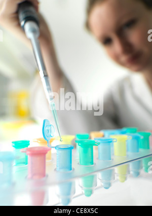 Parution du modèle. La recherche biologique. Un pipetage scientifique liquide dans des tubes Eppendorf. Banque D'Images