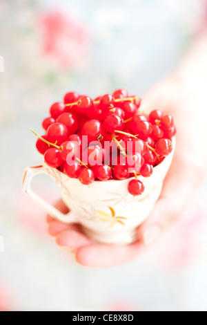 Parution du modèle. Groseilles rouges dans une tasse. Banque D'Images