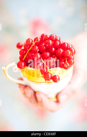 Parution du modèle. Groseilles rouges dans une tasse. Banque D'Images