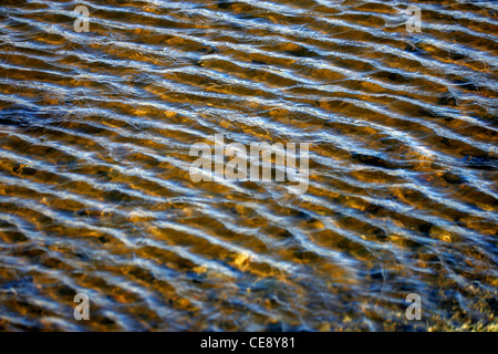 Le remous de l'eau à marée montante Montrose Ecosse UK Banque D'Images