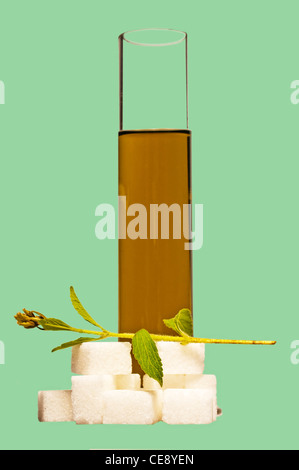 Le Stevia rebaudiana extrait fluide Banque D'Images