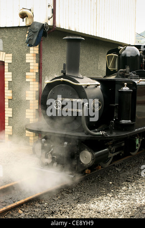 Moteurs à vapeur sur le train rural gallois Ffestiniog Service pays de Galles Royaume-Uni Banque D'Images