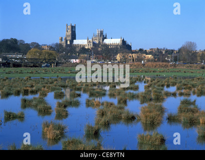 Ely cathédrale anglicane d'élévation au-delà de l'horizon du sud de la rivière Great Ouse paysage de plaine d'inondation d'hiver sous l'eau sur le terrain Cambridgeshire East Anglia UK Banque D'Images