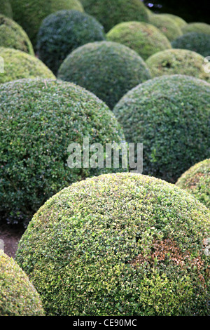 Les Jardins du Château d'Amboise Loire Valley France Banque D'Images