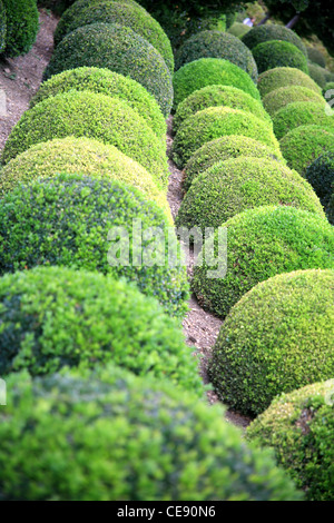 Les Jardins du Château d'Amboise Loire Valley France Banque D'Images