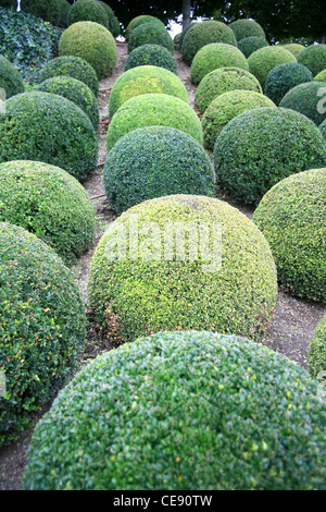 Les Jardins du Château d'Amboise Loire Valley France Banque D'Images